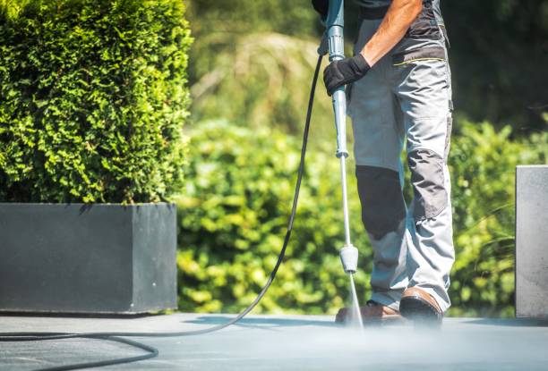 Best Sidewalk and Walkway Cleaning  in Forest, MS