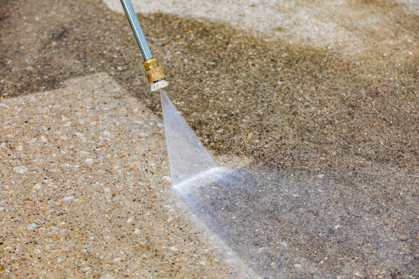 Best Pre-Holiday Cleaning  in Forest, MS