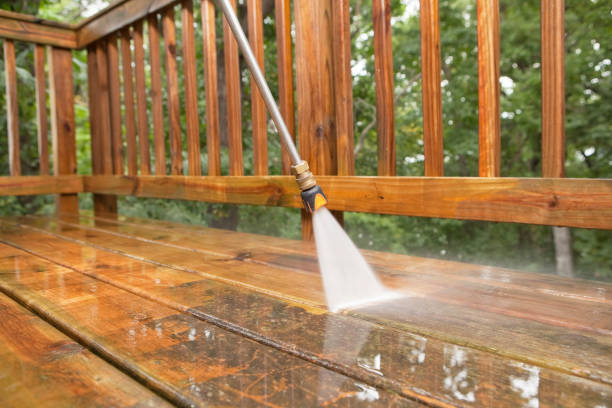 Best Pool Deck Cleaning  in Forest, MS